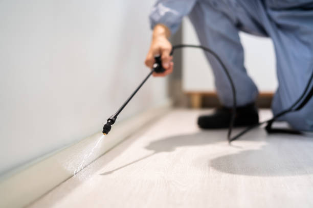 Licensed Wasp Removal service in Montgomery, AL - Show Me Pest Control