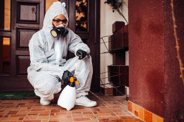 Reliable Wasp Removal contractor in Montgomery, AL by Show Me Pest Control